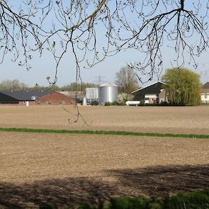 René: “In 1994 is de eerste vleeskuikenstal gebouwd door mijn ouders. In 2007 heb ik het bedrijf overgenomen en in 2016 hebben we de tweede stal gebouwd voor 38.000 kuikens. Daarnaast hebben we nog 62 hectare akkerbouw.”