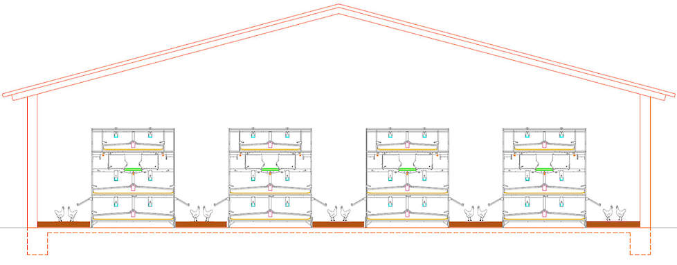 Tekening pluimveestal met vier volière-rijen
