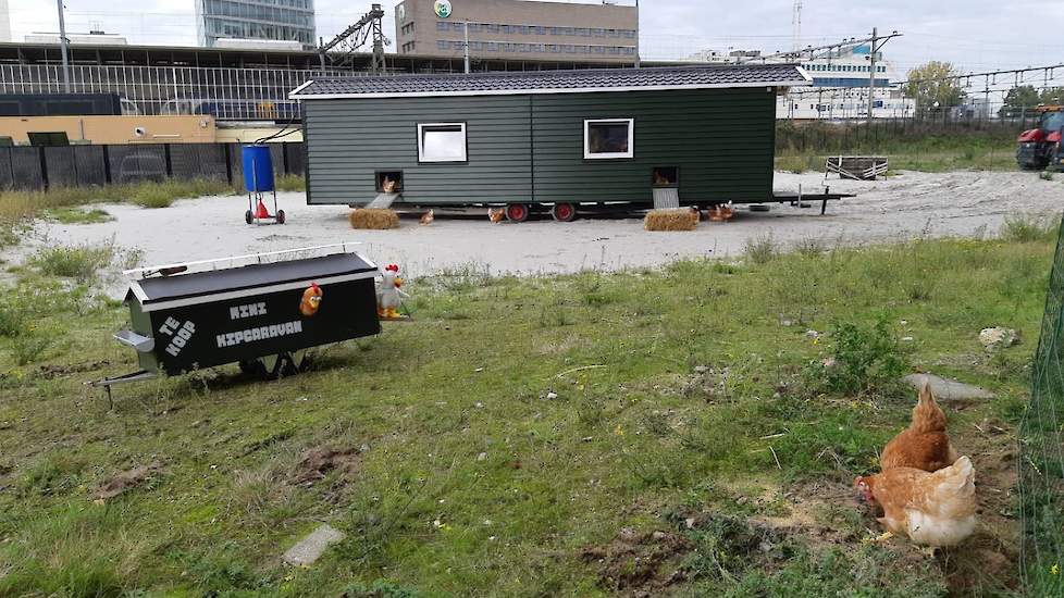 De leghennenhouder verkoopt naast eieren ook mini kipcaravans aan burgers.