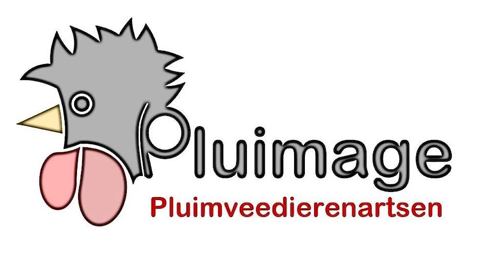 Het logo van Pluimage – Pluimveedierenartsen.