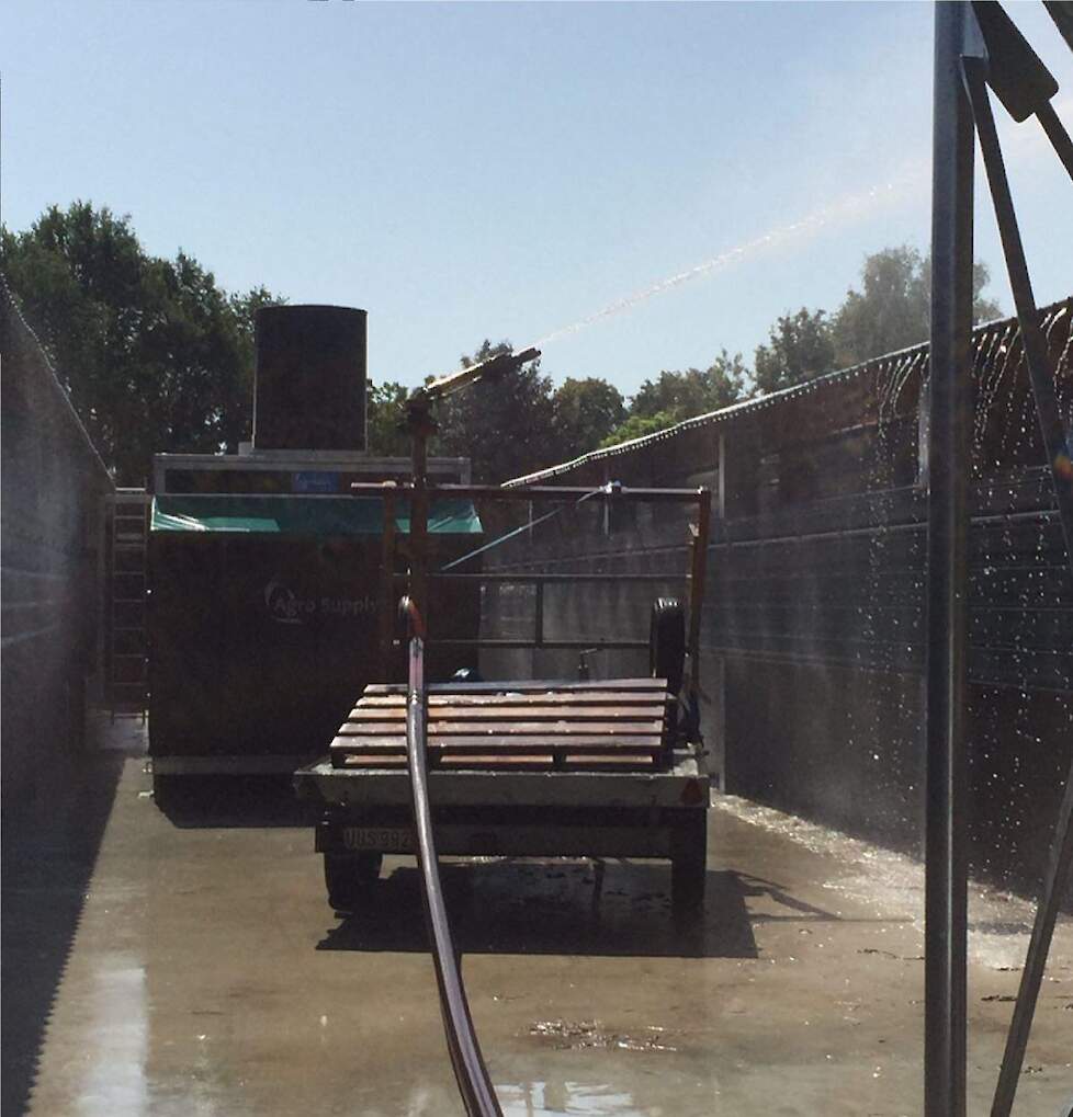 Tijdens de extreem hete zomerdagen vorig jaar juli zette Driessens naast nevelkoeling in de stallen, de buitenkoeling met tuinbouwsproeiers aan evenals tuinbouwsproeiers op de staldaken en naast de stal.