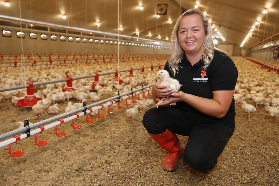 Jolien Driessens (24) in één van haar stallen. Ze houdt sinds maart 2019 samen met haar vriend Swen Lamers (26) 80.000 reguliere vleeskuikens in twee stallen in het Vlaamse Kinrooi.  