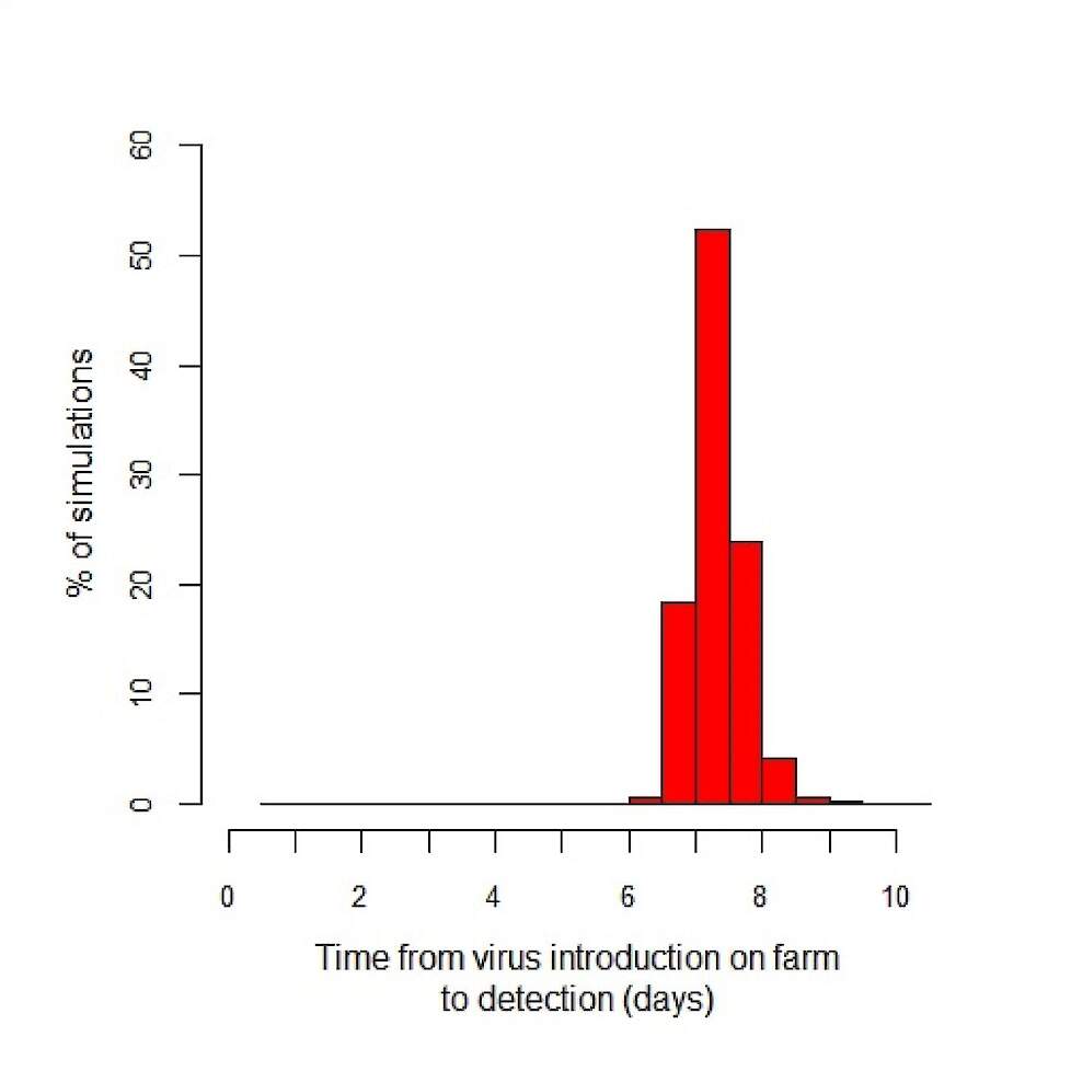 Een voorbeeld van de verdeling van het tijdsinterval tussen de introductie en detectie van hoog pathogene vogelgriep op een Nederlands pluimveebedrijf.