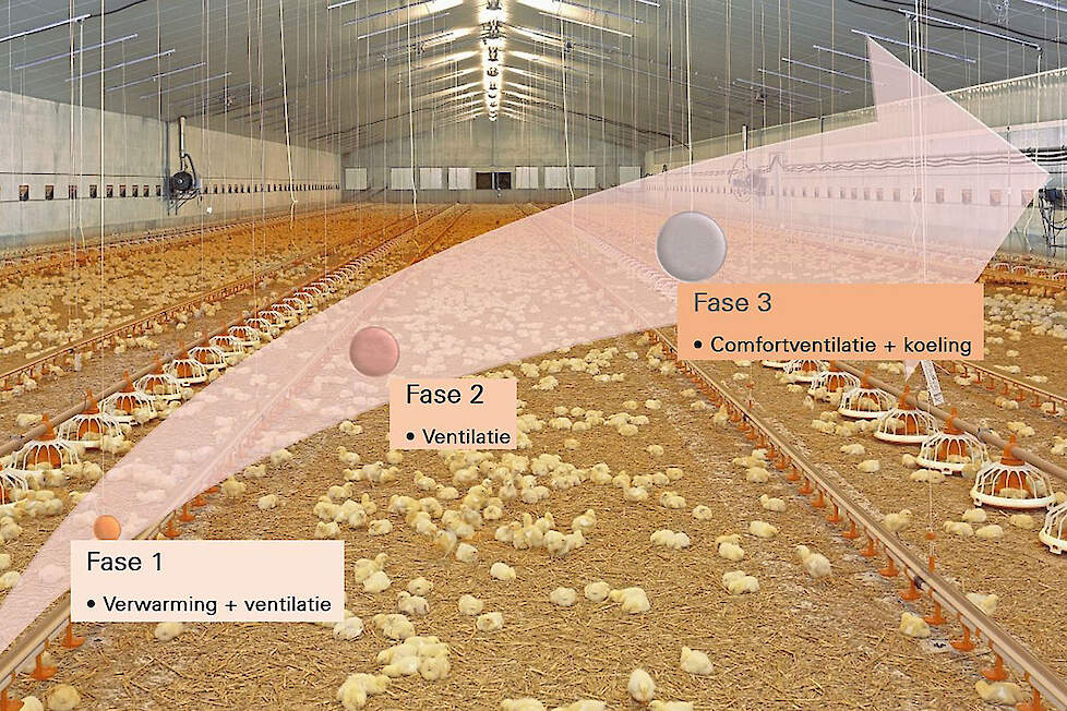 Visualisatie multifasige ventilatie