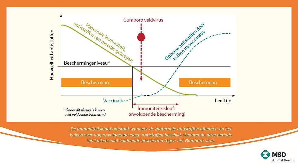 Immuniteitskloof