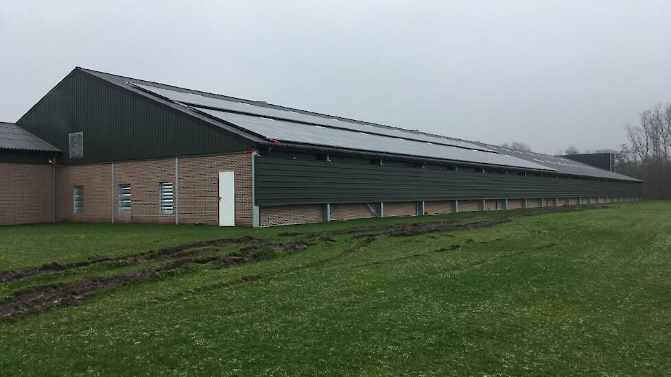 Op de zuidkant van het dak van de nieuwe stal liggen zonnepanelen zodat de familie voor een groot gedeelte zelfvoorzienend is qua stroomverbruik. „In België krijg je in tegenstelling tot Nederland geen subsidie voor de aanschaf van zonnepanelen. Maar we w