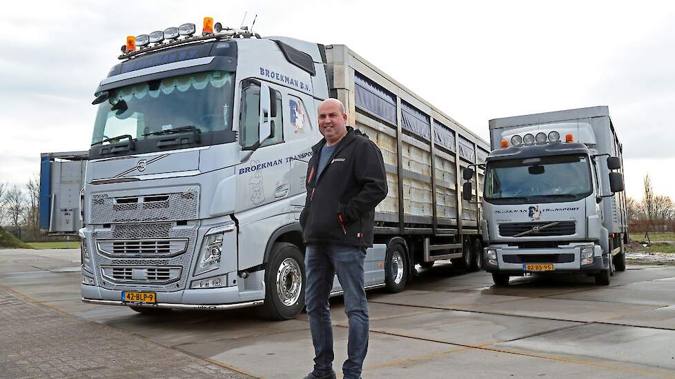 Het is een kleine markt in de pluimveesector: enten, laden, lossen en transport van leghennen en vleeskuikenouderdieren van 0 tot respectievelijk 17 en 20 weken. Broekman uit Haler is een van de spelers op die specifieke markt en transporteert jaarlijks z