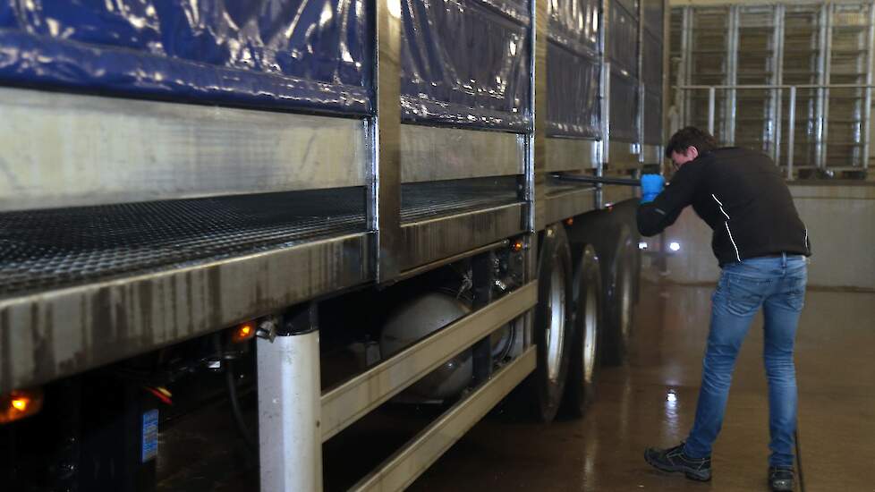 De wagens vertrekken ’s morgens vroeg voor het laden van de kippen, rijden naar het losadres en dan terug naar Limburg. Daar start de wasstraat. Broekman wil volgend jaar het bedrijf uitbreiden met een nieuwe loods voor de wasstraat.