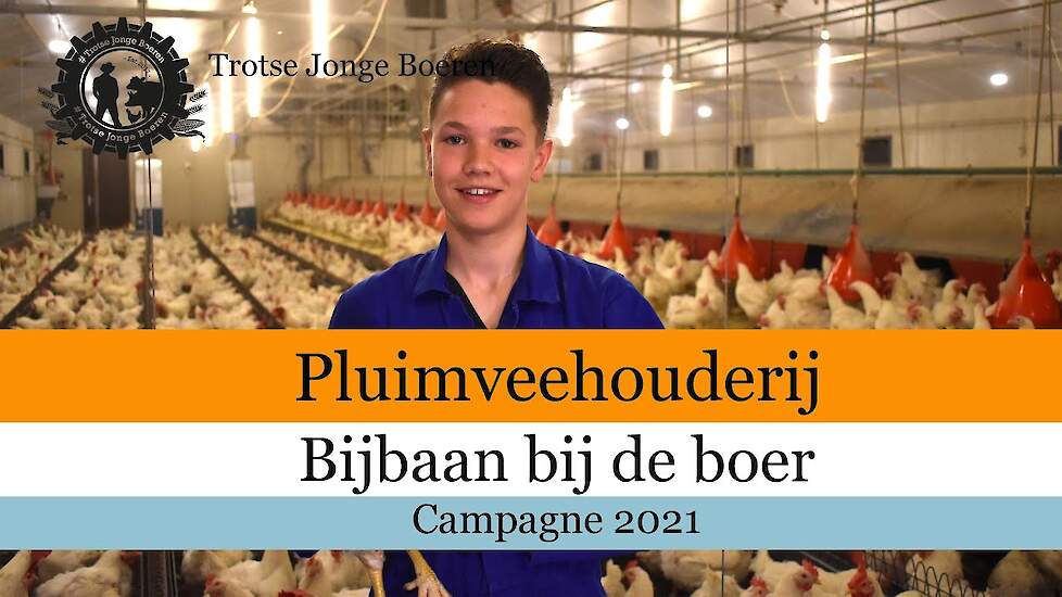 Pluimvee - Bijbaan Bij De Boer