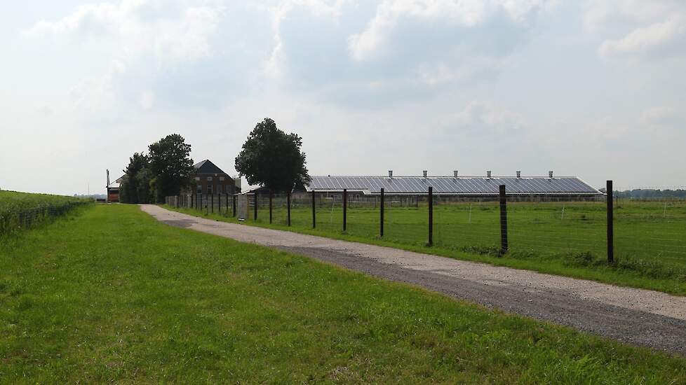 Willem en Klaaske bouwden in 2002 hun eerste leghennenstal die ze in 2003 in gebruik namen. Willem groeide niet op een boerderij op. Van jongs af aan wilde hij echter al boer worden. Hij en Klaaske kochten in 1993 dit bestaande melkveebedrijf en begonnen