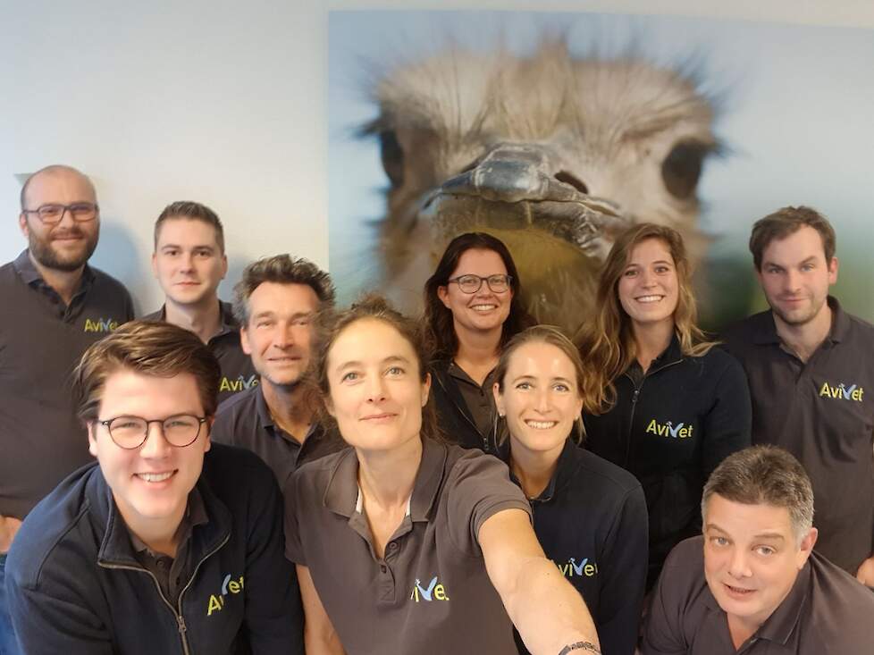 Het team van Avivet in november 2019.