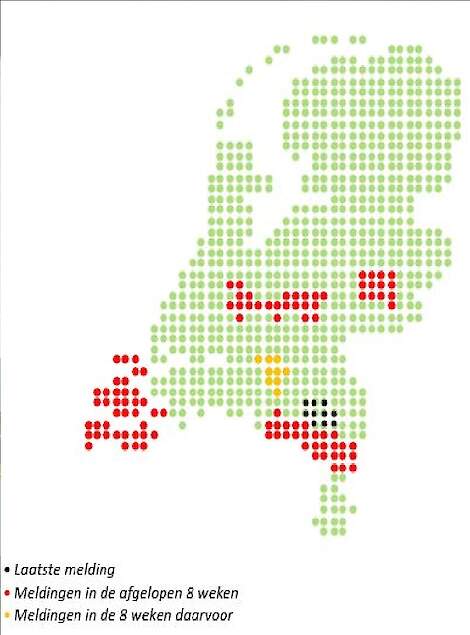 Kaart: EWS-meldingen voor Mycoplasma gallisepticum (Mg) in de periode januari 2021 t/m eind december 2021 (Bron: GD;EWS) Het aangekleurde gebied is gebaseerd op de eerste twee cijfers van de postcode en is daarmee indicatief voor de locatie van de melding