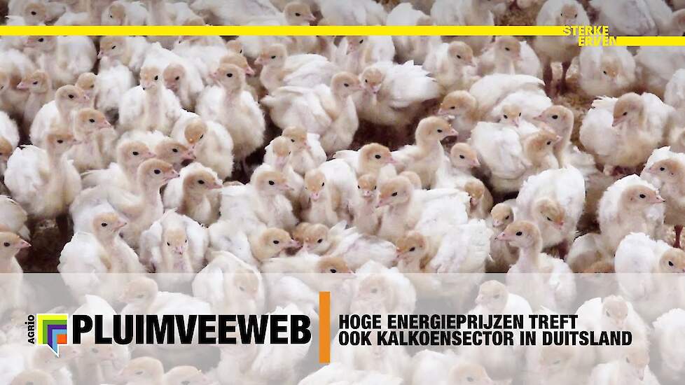 Hoge energieprijzen: beter isoleren, houtsnipperverwarming en zonne-energie