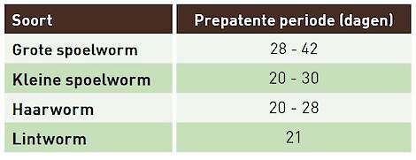 Prepatente periode