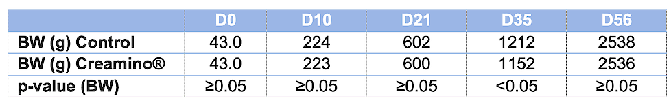 Tabel 1: Lichaamsgewicht (BW) ontwikkelingen gedurende de vier voerperiodes en overall.