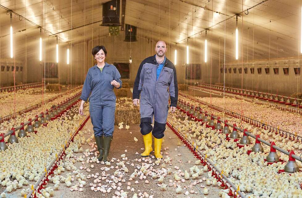 Delphine en haar man Stéphane Tasiaux uit het Waalse Furfooz in de omgeving van Dinant zijn één van de zeventien Waalse braadkippenhouders die de braadkippen houden voor de Colruyt Groep.