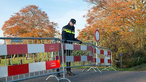 Vogelgriep op Belgisch vermeerderingsbedrijf vastgesteld