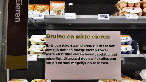 Februari: Eierprijs naar recordhoogte, Esbro blokkeert Kemperkip, Oekraïens legbatterij overspoelt EU