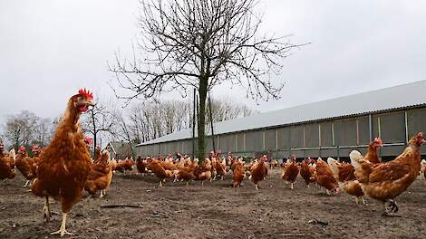 Topambtenaar LNV: 'De toekomst is biologisch'