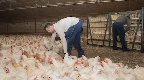 'Vangbedrijven willen meer leiding geven aan organisatie rondom het vangen'