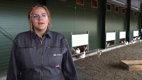 Video: Nieuwkomer bouwt extra brede vrije-uitloopstal