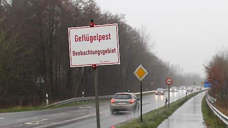 Vogelgriep op leghennenbedrijf vlak over de grens bij Oldenzaal