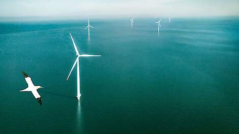 De Heus Voeders gaat groene stroom afnemen van nieuw windpark Ecowende