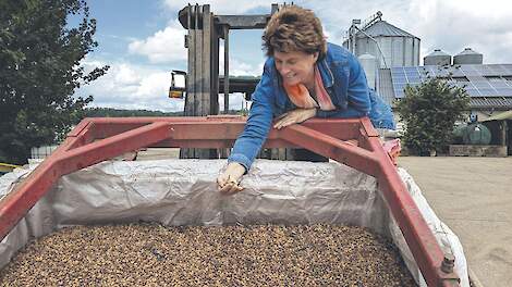 Fotoserie: Kuikenvoer van eigen teelt