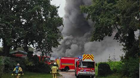 Pluimveehouder emotioneel na stalbrand in Merksplas: 'Levenswerk voor eigen ogen in vuur opgegaan'