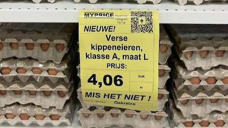 Dumping van Oekraïense eieren in Vlaamse discountwinkel