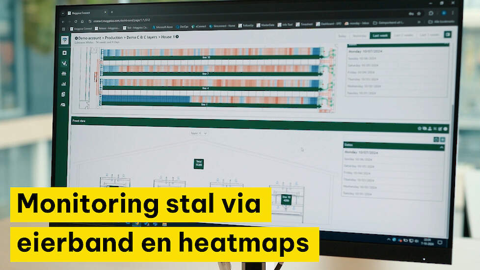 Stal monitoren met hoeveelheid eieren op eierband.