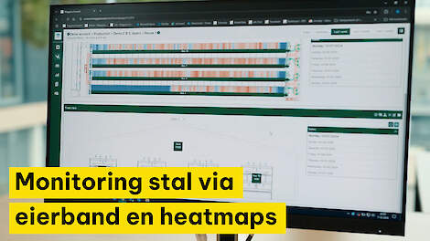 Stal monitoren met hoeveelheid eieren op eierband.