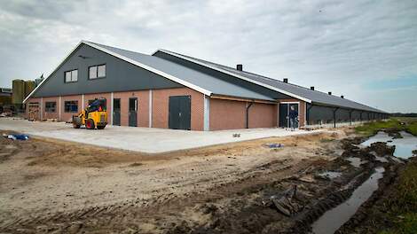 Fotoserie: Veel arbeidsgemak in nieuwe vrije-uitloopstal