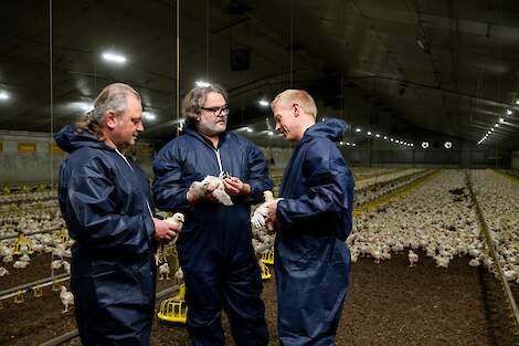 Vleeskuikenhouders Nelson Bellens en Patrick Aernouts uit Wuustwezel (B)